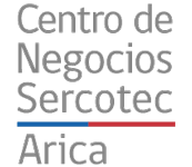Logo-SERCOTEC-Arica-Partner-empresa-de-seguridad-